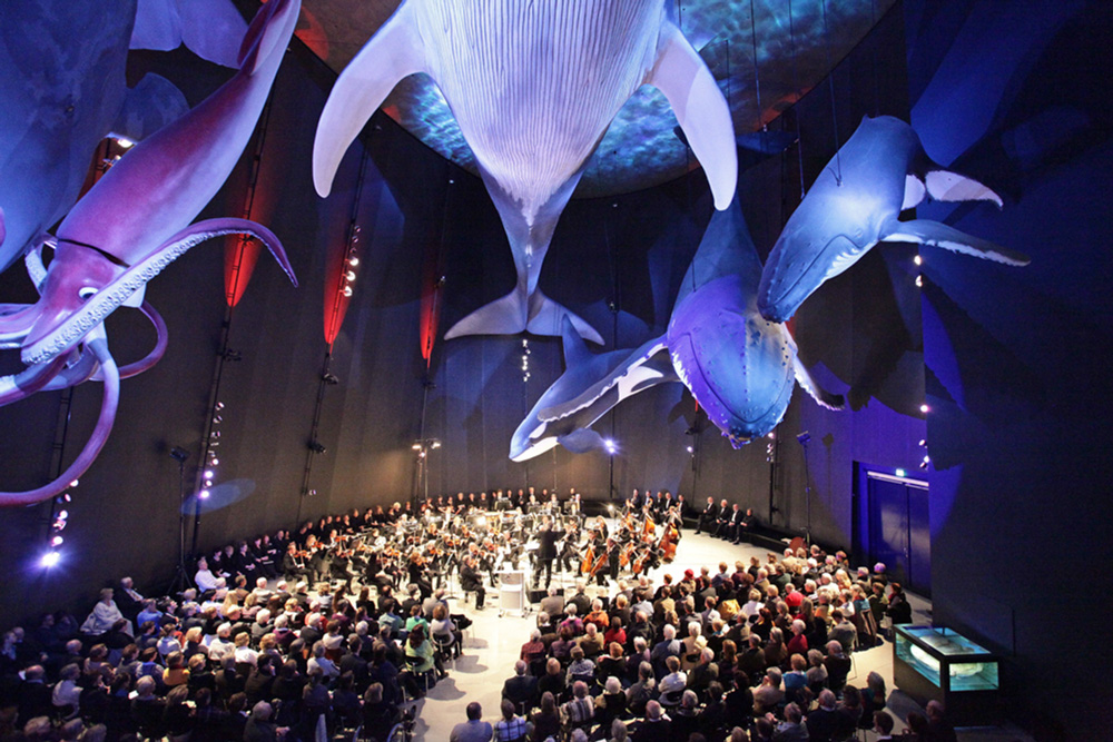 Veranstaltungen im OZEANEUM